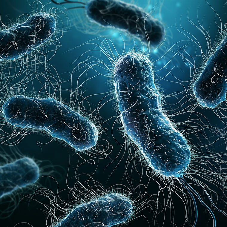 Resistencia antimicrobiana y la guerra contra las bacterias