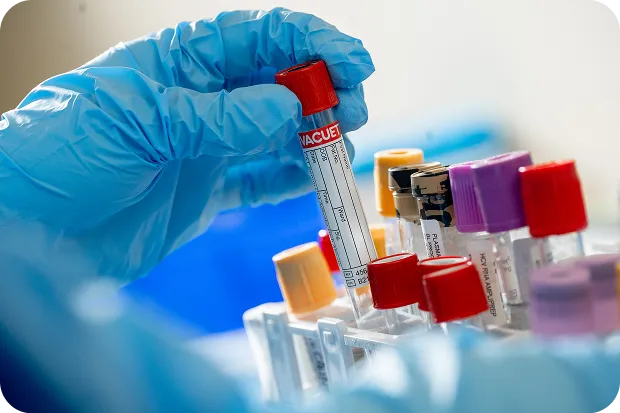 areas-disciplinas-estrategicas