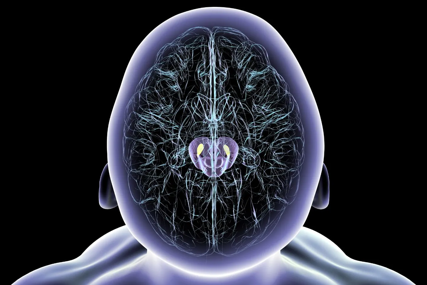 Nueva visión del Parkinson desde TecSalud