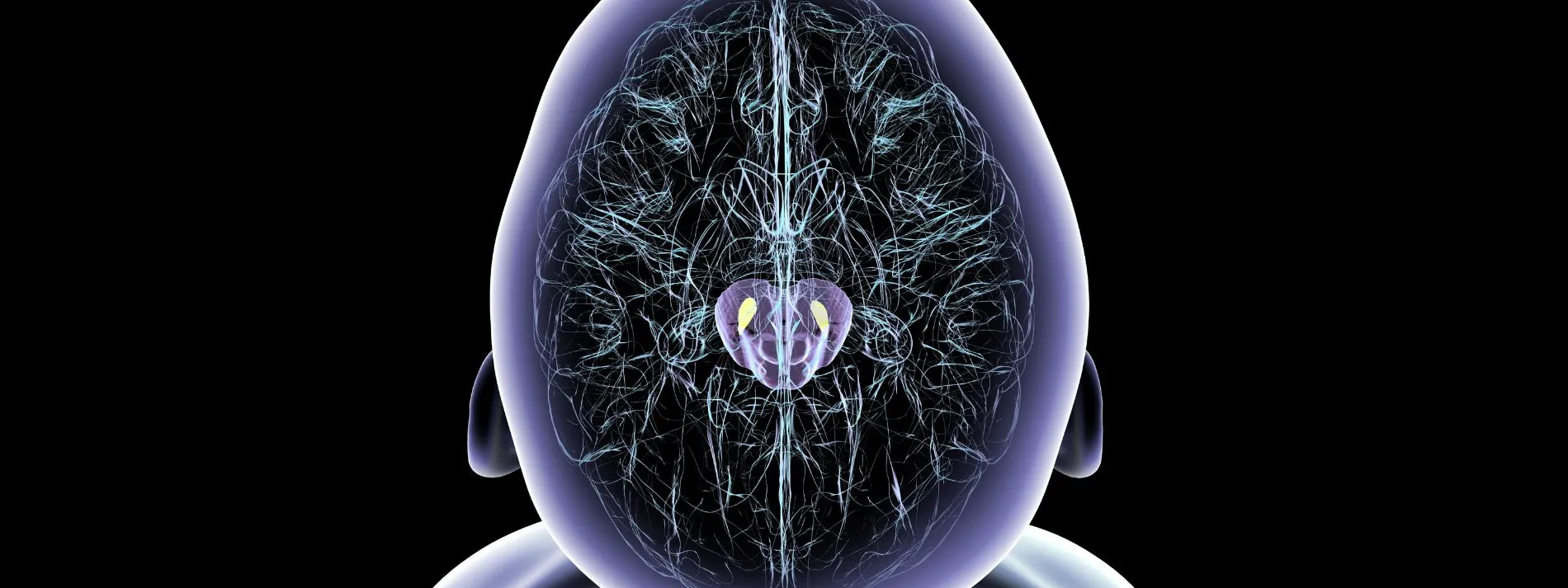Nueva visión del Parkinson desde TecSalud
