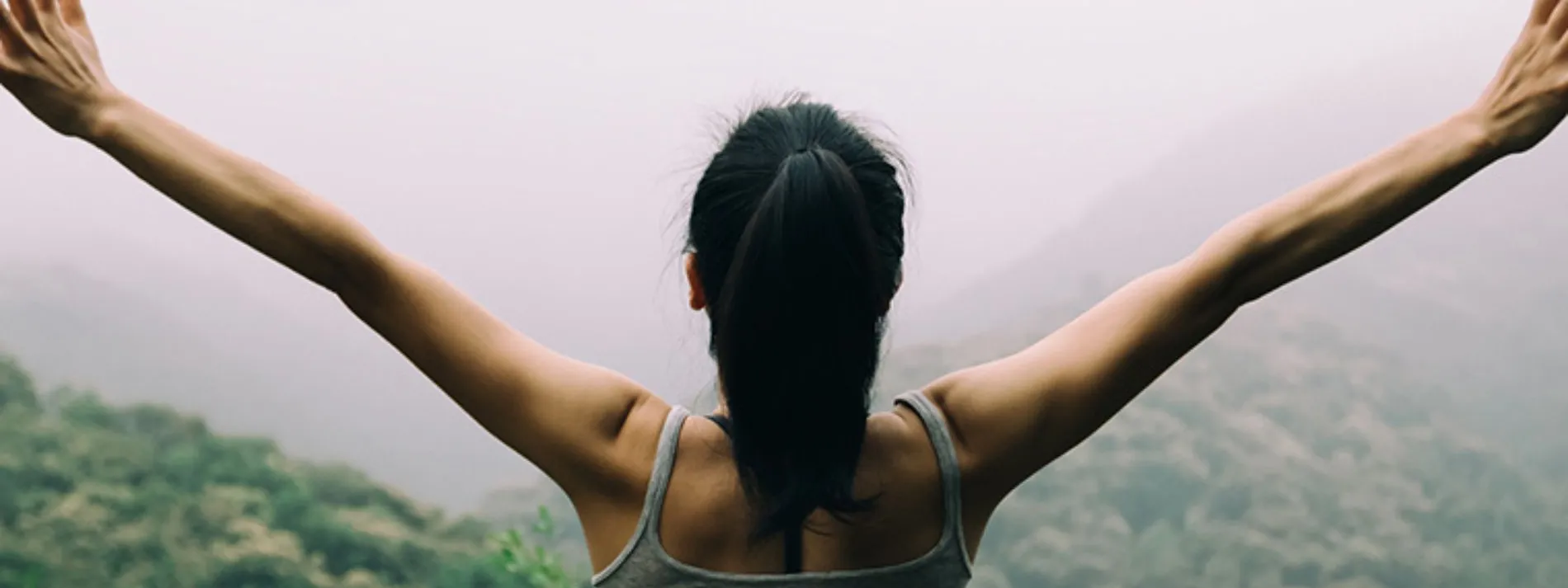Terapia del bosque: meditación que brinda beneficios en salud