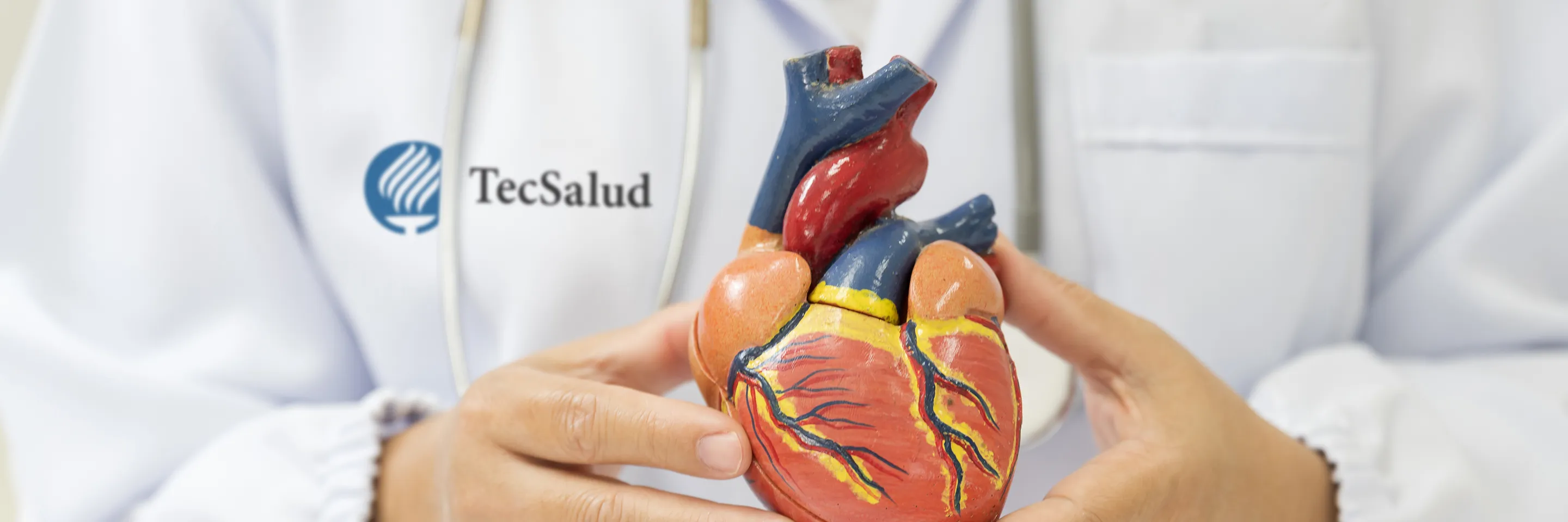 banner especialidades