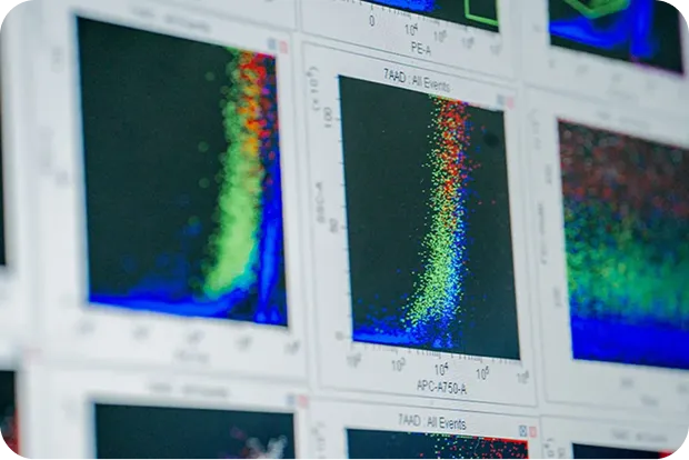 Cumplimiento Regulatorio